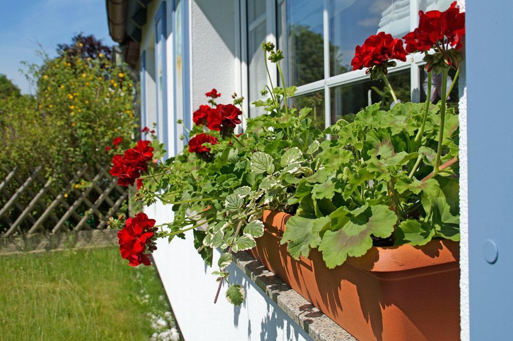 Ferienwohnanlage Bruckner Apartment Rostock Ngoại thất bức ảnh